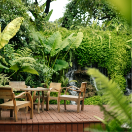 Garden Cleanup