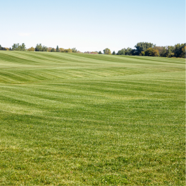 Acreage Mowing